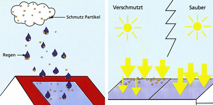 Solarmodulreinigung
